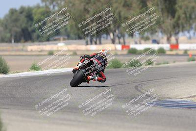 media/Sep-07-2025-Pacific Track Time (Sun) [[a6322260b9]]/C Group/Wheelie Bump/